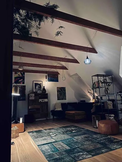 Penthouse: Copenhagen Delight Apartment