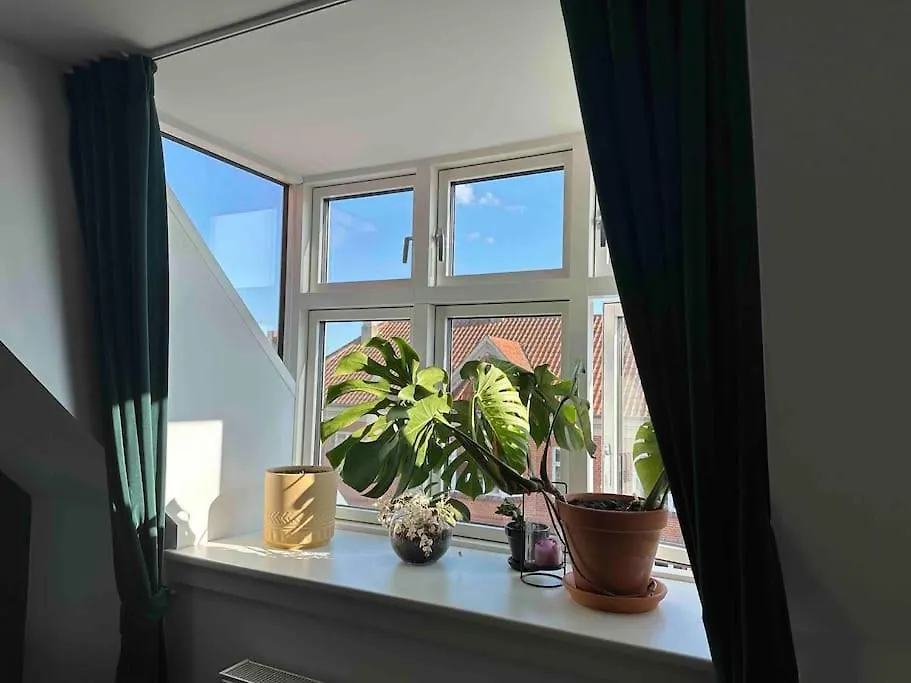 Penthouse: Copenhagen Delight Apartment 0*,  Denmark